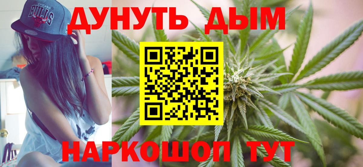 МАРИХУАНА семена Новокубанск